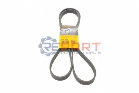 Ремінь генератора VW Passat/Audi A4 2.4/2.6/2.8 95- Contitech 6PK1880 Купити в Україні