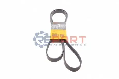 Ремінь генератора VW T4 2.0i Contitech 6PK1893 Купити в Україні