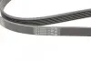 Фото Поліклиновий ремінь CHEVROLET CAPTIVA, MALIBU, VECTRA DAEWOO LEGANZA, NUBIRA FORD ESCORT V, FIESTA, FIESTA III, FIESTA IV, ORION III, SCORPIO II MAZDA 121 III 1.3-3.2 09.86 Contitech (6PK1900) зображення 3
