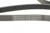 Фото Поліклиновий ремінь FORD COURIER, FOCUS I SSANGYONG ACTYON II, KORANDO 1.4-2.0LPG 10.98 Contitech (6PK1915) зображення 4