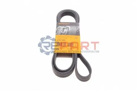 Поліклиновий ремінь AUDI A6 C5, A6 C6 FORD ESCORT CLASSIC, ESCORT V, ESCORT VI, TRANSIT FORD USA TAURUS JEEP WRANGLER III LINCOLN CONTINENTAL OPEL SIGNUM, VECTRA C 1.6-4.6 09.92 Contitech 6PK1920 Купити в Україні
