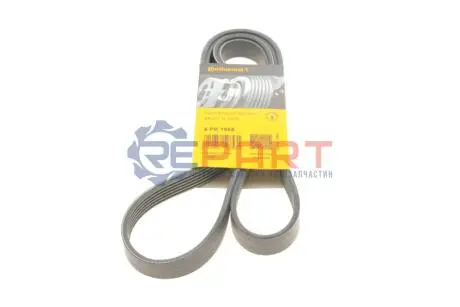 Ремінь генератора Ford Transit 2.3 16V 00-06 (RWD) Contitech 6PK1955 Купити в Україні