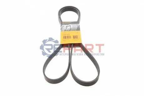 Ремінь генератора Ford Transit 2.0 94- Contitech 6PK1973 Купити в Україні