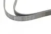 Фото Ремінь генератора MB Sprinter OM601/602 (PS) Contitech (6PK2030) зображення 4