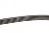Фото Ремінь генератора MB W124/202/Vito (PS) Contitech (6PK2040) зображення 2