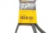 Фото Ремень генератора поликлиновый CONTINENTAL Contitech (6PK2050) изображение 6