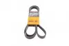 Ремень генератора поликлиновый CONTINENTAL Contitech (6PK2077) изображение 1