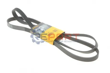 Ремінь генератора Honda Civic IX 1.6-1.8 11-/Mazda MPV II 2.5 V6 99-02 (6PK2093) Contitech 6PK2094 Купити в Україні