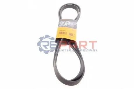 Фото Ремень генератора поликлиновый CONTINENTAL Contitech (6PK2135) изображение 1