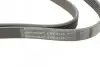Фото Ремень генератора поликлиновый CONTINENTAL Contitech (6PK2145) изображение 4