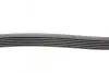Фото Поліклиновий ремінь MERCEDES C (CL203), C T-MODEL (S203), C (W203), CLC (CL203), CLK (C209), E (VF210) MAZDA TRIBUTE 2.1D-3.0D 07.99-06.11 Contitech (6PK2190) зображення 2