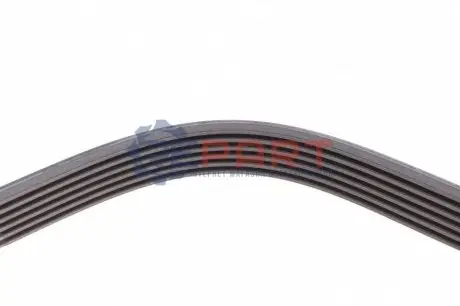 Ремінь генератора VW T4 2.5TDI (+AC) Contitech 6PK2225 Купити в Україні