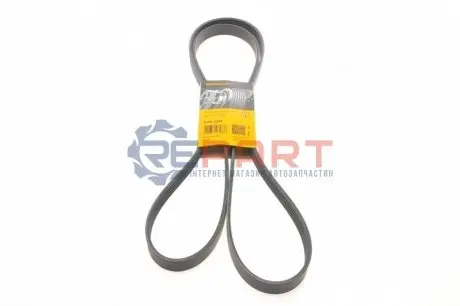 Ремінь генератора Ford Transit 2.3 06-14/Audi 100 2.8E 90-94 Contitech 6PK2280 Купити в Україні