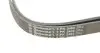 Фото Комплект паса поликлинового Audi A4/A6/A8/VW Pass Contitech (6PK2404K1) изображение 4
