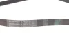 Фото Ремень генератора поликлиновый CONTINENTAL Contitech (6PK2415) изображение 2