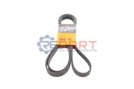 Фото 1 — Ремень генератора поликлиновый CONTINENTAL Contitech (6PK2415) Фото Ремень генератора поликлиновый CONTINENTAL Contitech (6PK2415) изображение 1