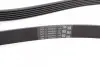 Фото Ремінь генератора MB S-class (W221/W222)/E-class (W212) 4.7-5.5 11-17/Porsche Macan 3.0-3.6 14- Contitech (6PK2528) зображення 3