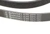 Фото Ремінь генератора Hyundai Santa Fe/Kia Sorento 2.4 CVVT 09-15 Contitech (6PK2575) зображення 4