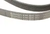 Фото Поліклиновий ремінь JEEP CHEROKEE, LIBERTY 2.5-2.8D 09.01 Contitech (6PK2870) зображення 4