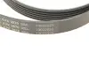 Фото Поліклиновий ремінь JEEP CHEROKEE, LIBERTY 2.5-2.8D 09.01 Contitech (6PK2870) зображення 5