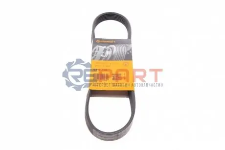Фото Ремінь генератора Citroen Berlingo/Fiat Ducato 1.9 D/TD 96-03 Contitech (6PK730) зображення 1