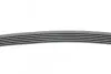 Дорожный пас Contitech (6PK745) изображение 2