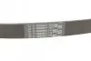 Дорожный пас Contitech (6PK745) изображение 3