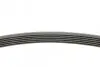 Фото Поліклиновий ремінь LAND ROVER DEFENDER, DISCOVERY V, RANGE ROVER IV, RANGE ROVER SPORT II SEAT CORDOBA, IBIZA III SKODA FABIA I, FABIA I PRAKTIK, FABIA II, ROOMSTER 1.0-3.0H 04.99 Contitech (6PK780) зображення 2