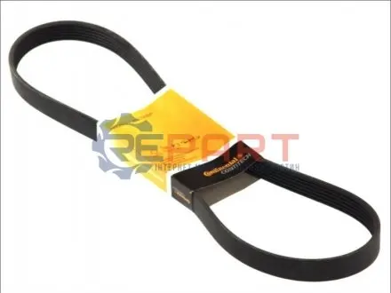 Поліклиновий ремінь (6PK780) CITROEN C2, C3 I, C3 PLURIEL, C4, C4 GRAND PICASSO I, C4 I, C4 PICASSO I PEUGEOT 206, 207, 307 1.4D/1.6D 02.02 Contitech 6PK780ELAST Купити в Україні