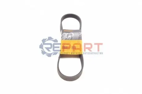 Ремінь генератора Citroen Berlingo/Peugeot Partner 1.6HDI/ Ford Fiesta/Focus 1.4-1.6 TDCi 01- Contitech 6PK800 Купити в Україні