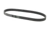 Фото Поліклиновий ремінь FIAT PUNTO, STILO NISSAN ALMERA CLASSIC 1.6/1.9D 09.99 Contitech (6PK815) зображення 3