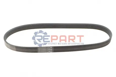 Поліклиновий ремінь (6PK860) MAN TGE VW CALIFORNIA T6 CAMPER, CRAFTER, GRAND CALIFORNIA CAMPER, MULTIVAN T6, TRANSPORTER T6, TRANSPORTER T6 / CARAVELLE T6 2.0D 04.15 Contitech 6PK860 ELAST Купити в Україні