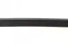 Фото Ремень генератора поликлиновый CONTINENTAL Contitech (6PK862) изображение 3