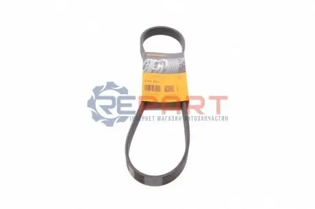 Ремінь генератора Citroen Jumper/Peugeot Boxer 2.0/2.2HDi 04- (-AC)/Opel Movano 2.5D Contitech 6PK875 Купити в Україні