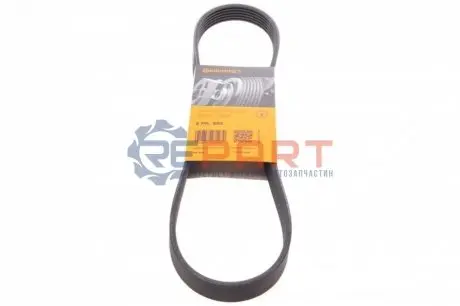 Поліклиновий ремінь CHEVROLET AVEO / KALOS CHRYSLER PT CRUISER LADA KALINA NISSAN BLUEBIRD, MAXIMA / MAXIMA QX IV, MICRA II, PRAIRIE PRO, SUNNY II TOYOTA AURIS, YARIS 1.0-2.0 04.84 Contitech 6PK884 Купити в Україні