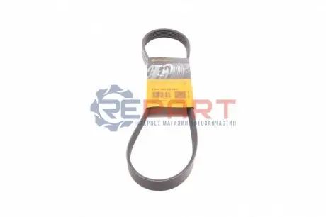 Ремінь генератора Citroen Berlingo 1.6VTi 09- Contitech 6PK905EXTRA Купити в Україні