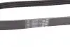 Фото Поліклиновий ремінь AUDI A3 MITSUBISHI MIRAGE / SPACE STAR VI SEAT CORDOBA, CORDOBA VARIO, IBIZA II, INCA, LEON, TOLEDO II SKODA OCTAVIA I VW BORA, BORA I, CADDY II 1.0/1.2/1.9D 11.95 Contitech (6PK906) зображення 3