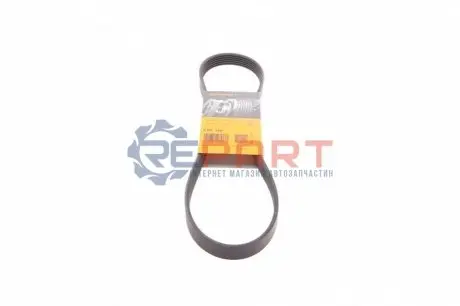Поліклиновий ремінь  AUDI A3 MITSUBISHI MIRAGE / SPACE STAR VI SEAT CORDOBA, CORDOBA VARIO, IBIZA II, INCA, LEON, TOLEDO II SKODA OCTAVIA I VW BORA, BORA I, CADDY II 1.0/1.2/1.9D 11.95 Contitech 6PK906 Купити в Україні