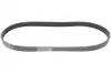 Фото Поліклиновий ремінь AUDI A3 MITSUBISHI MIRAGE / SPACE STAR VI SEAT CORDOBA, CORDOBA VARIO, IBIZA II, INCA, LEON, TOLEDO II SKODA OCTAVIA I VW BORA, BORA I, CADDY II 1.0/1.2/1.9D 11.95 Contitech (6PK906) зображення 5