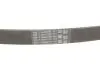 Фото Поклиновий ремень Contitech (6PK922EXTRA) изображение 4