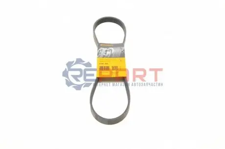 Ремінь генератора Fiat Punto 1.7TD 94-99/Honda Accord 2.0/2.3i 93-03 (6PK940) Contitech 6PK935 Купити в Україні