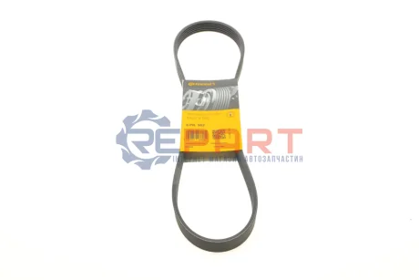 Ремінь генератора Ford Transit/Citroen Berlingo/Peugeot 308 1.6D 13- Contitech 6PK962 Купити в Україні