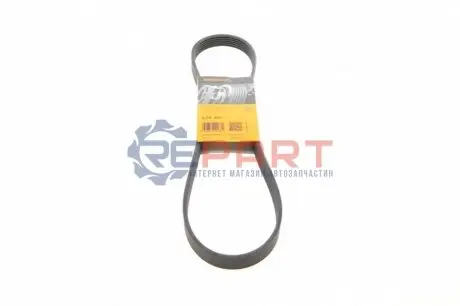 Дорожный пас Contitech 6PK970 Купить в Украине