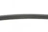 Фото Ремень генератора Peugeot Partner 1.6 HDI 08- -> Ремень генератора Peugeot Partner 1.6 HDI 08- Contitech (6PK976) изображение 2
