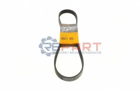 Фото 1 — Ремінь генератора BMW 1 (F20/F21)/3 (F30/F80) 1.6i 11-/Honda Civic VII/FR-V 1.7i 01- Contitech (6PK986) Фото Ремінь генератора BMW 1 (F20/F21)/3 (F30/F80) 1.6i 11-/Honda Civic VII/FR-V 1.7i 01- Contitech (6PK986) зображення 1