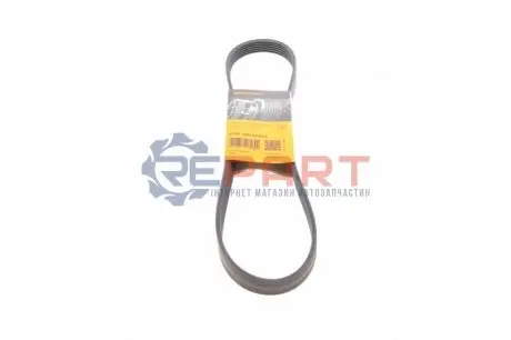 Ремінь генератора VW Polo/Up 11-/Skoda Fabia 14-/Seat Ibiza 1.0/1.6 15- (6PK989) Contitech 6PK989ELAST Купити в Україні