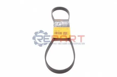 Фото Ремінь генератора Citroen Jumper/Fiat Ducato 2.8HDi/JTD 00- (ALT,WP) Contitech (6PK995) зображення 1