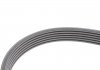 V-Ribbed Belt Contitech 6PK995EXTRA (фото 4)