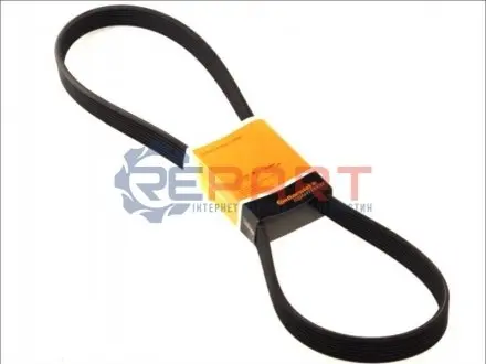 Ремінь генератора Audi Q7/VW Touareg 3.6 FSI 02- Contitech 7DPK2074 Купити в Україні