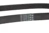 Фото Поліклиновий ремінь (7PK1051) DACIA DOKKER, DUSTER, LODGY LADA VESTA RENAULT CAPTUR I, EXPRESS, FLUENCE, KAPTUR, LOGAN/STEPWAY II, MEGANE IV, SANDERO/STEPWAY II H4M-H4M751 01.13 Contitech (7PK1051ELAST) зображення 2